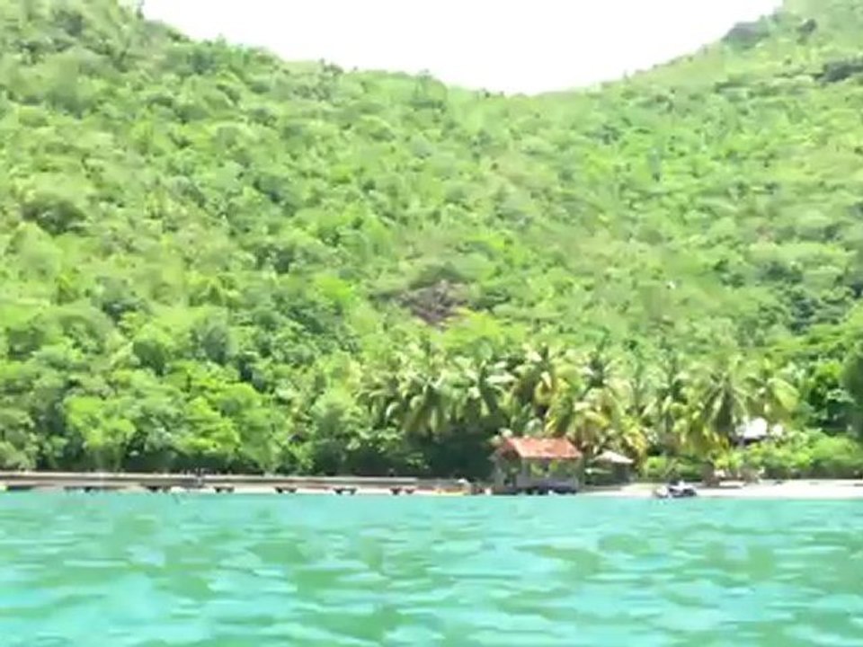 anse noire ..plongée avec un pelican.....