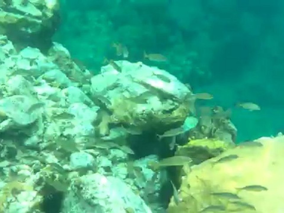 plongée a l'anse dufour