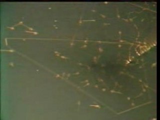 La Nuit Extra Terrestre