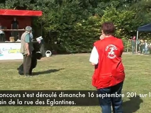 Arras : concours d'obéissance du Club d'éductaion canine et de travail de l'Arrageois