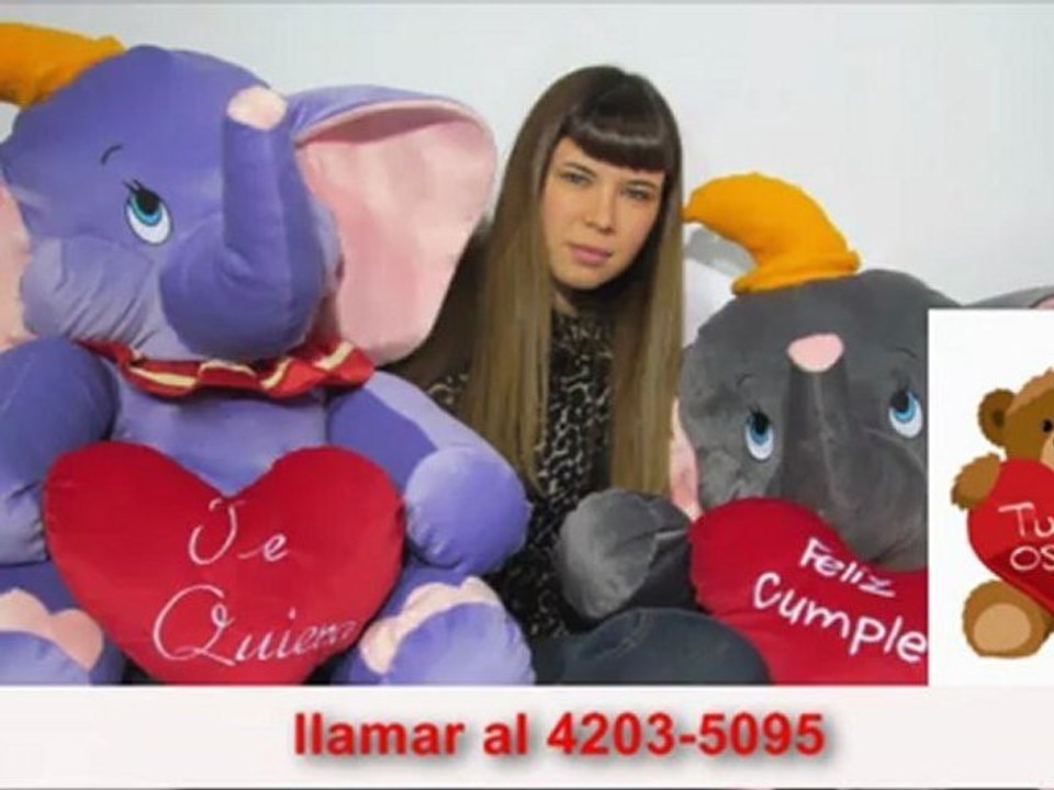 Ositos de Peluche