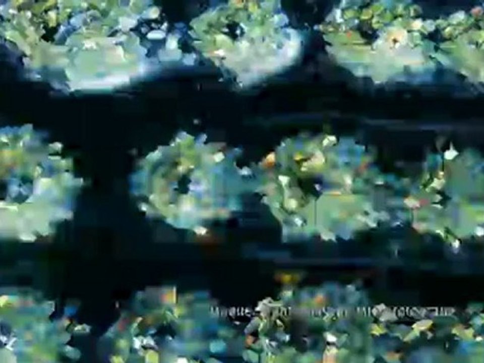 Einstellungssache : Fotografie mit Mikroskop | Euromaxx