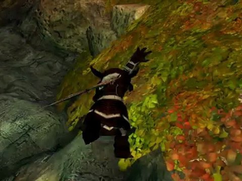 Puzzle - Impasse du troll - Guild Wars 2