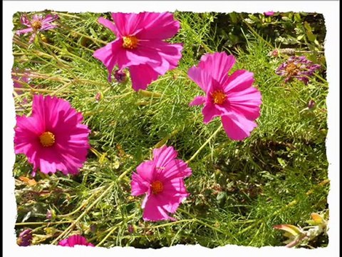 Randonnée ST ESTEPHE Sept 2012