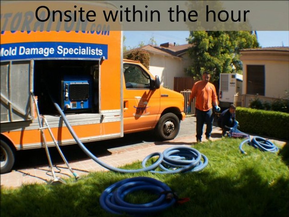 Water Damage Restoration Seattle