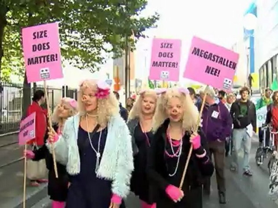 Controversial study finds tumours in rats fed GM