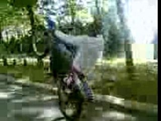 125 YZ A TRAPPES