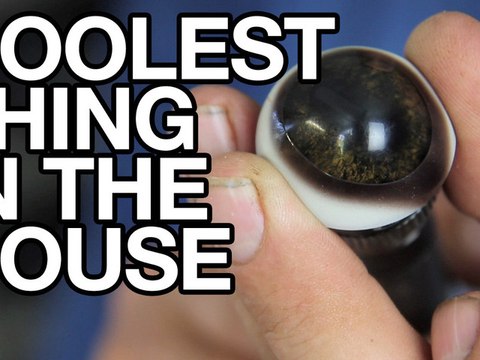 EP23-taxidermist shop - COOLEST THING IN THE HOUSE