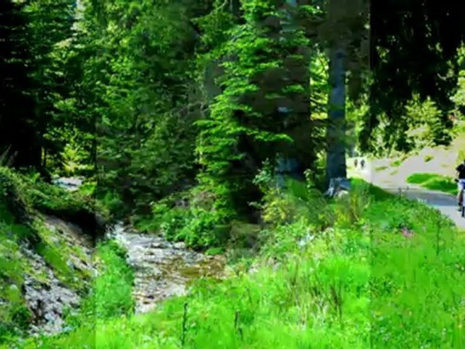 2012 en photos Rhône-Alpes