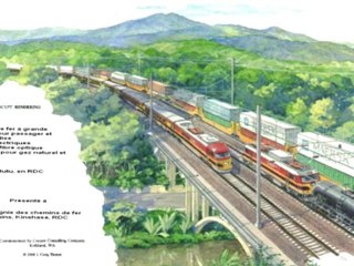 Plan Marshall Afrique (2/5) : Le bassin du Congo