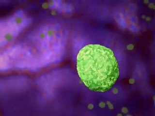 Hipotesis virica del cancer de mama (MMTV): James Holland