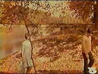 Herve Vilard - Capri c'est fini