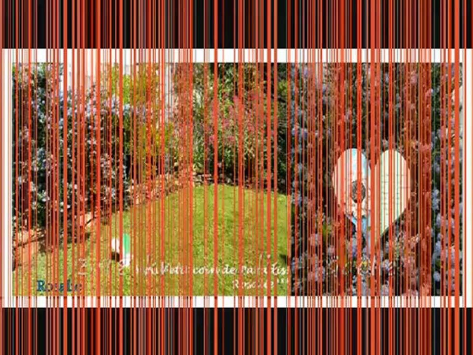 carte disou_0001