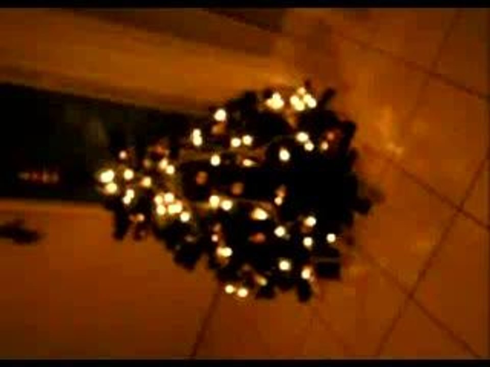 Sapin