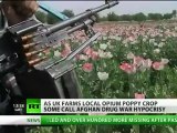 Harvest of Hypocrisy? UK opium poppy farming kept hush-hush