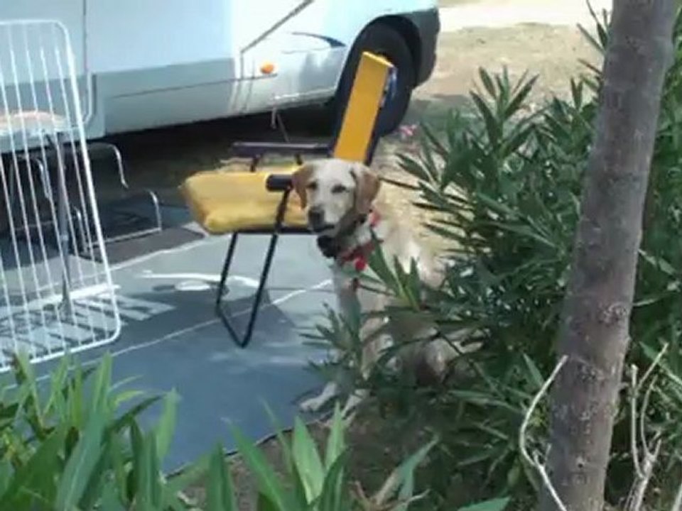 Camping Le galet à Marseillan (34)