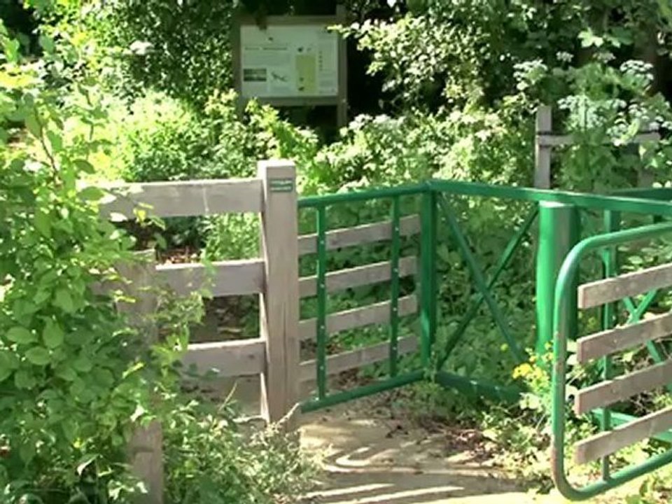 ENS du Val d'Oise : Le marais de Boissy