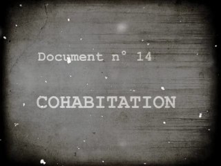 FAZ Document 14 on Cohabitation 📝