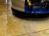 Orbot Sprayborg Floor Cleaning Machine