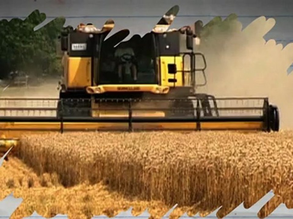 Genetic modification