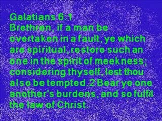 DAILY IN  CHRIST - 217
