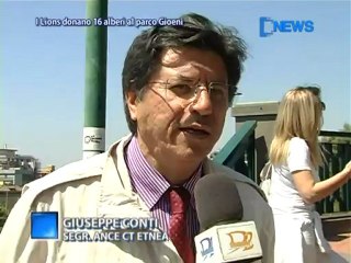 I Lions Donano 16 Alberi Al Parco Gioeni - news D1 Television TV