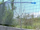 Parcheggio Fontanarossa: Presidio Dei Consiglieri Di Intesa Per Catania - News D1 Television TV
