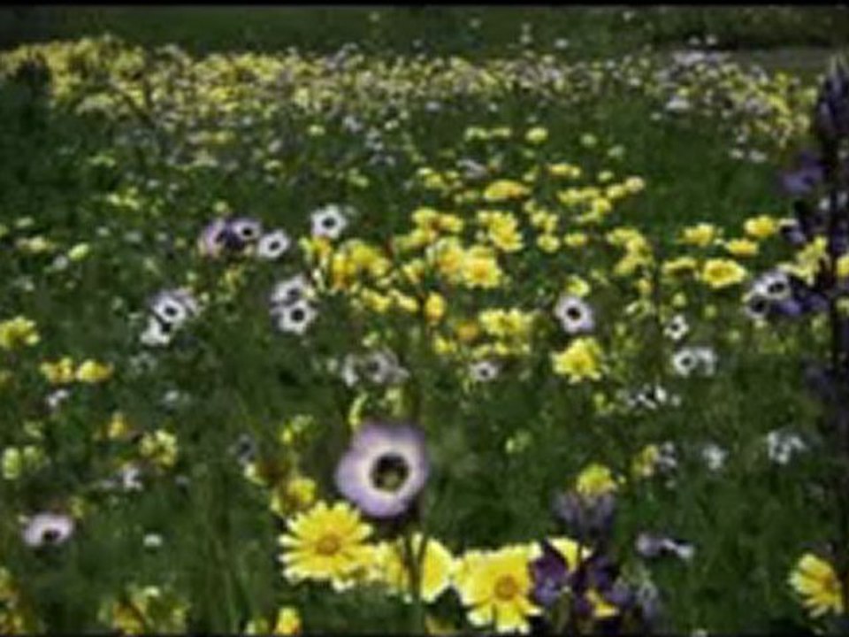 waqar bhatti"Mere Liya Hai Yeah Kafi"blessed worship song