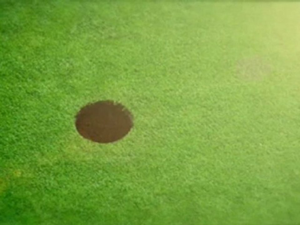 Improve The Mobility Of Your Spine