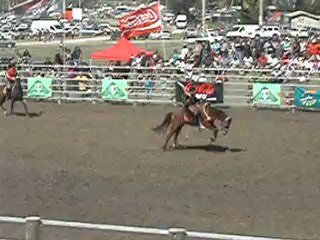 Rodéo foire de Koumac 4