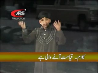 ARS. PRODUCTION    Wajid Ali Qadir