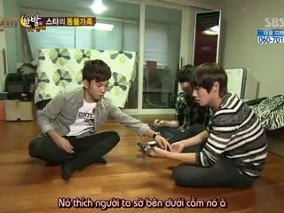 120919 [Vietsub] MBLAQ @ SBS Midnight Entertainment TV (Star's animal family)