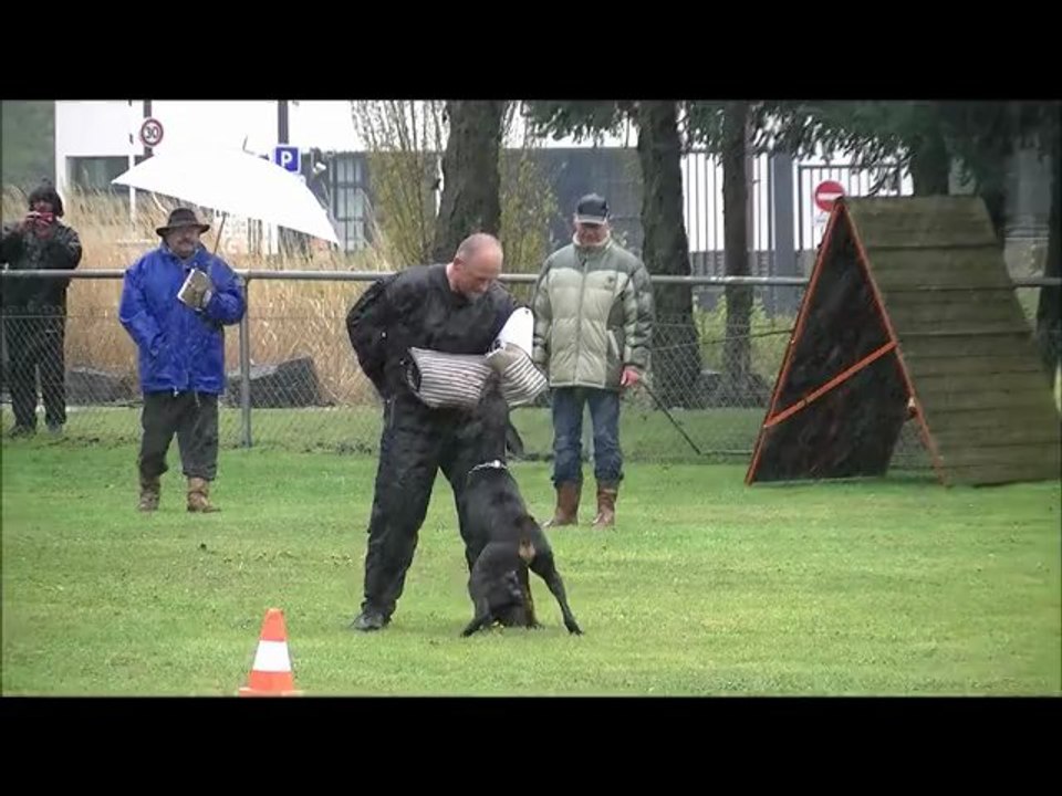 RCI St Etienne 15-04-12