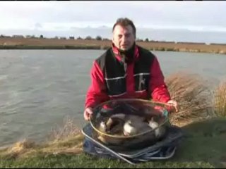 Maver 800 Competition pole test