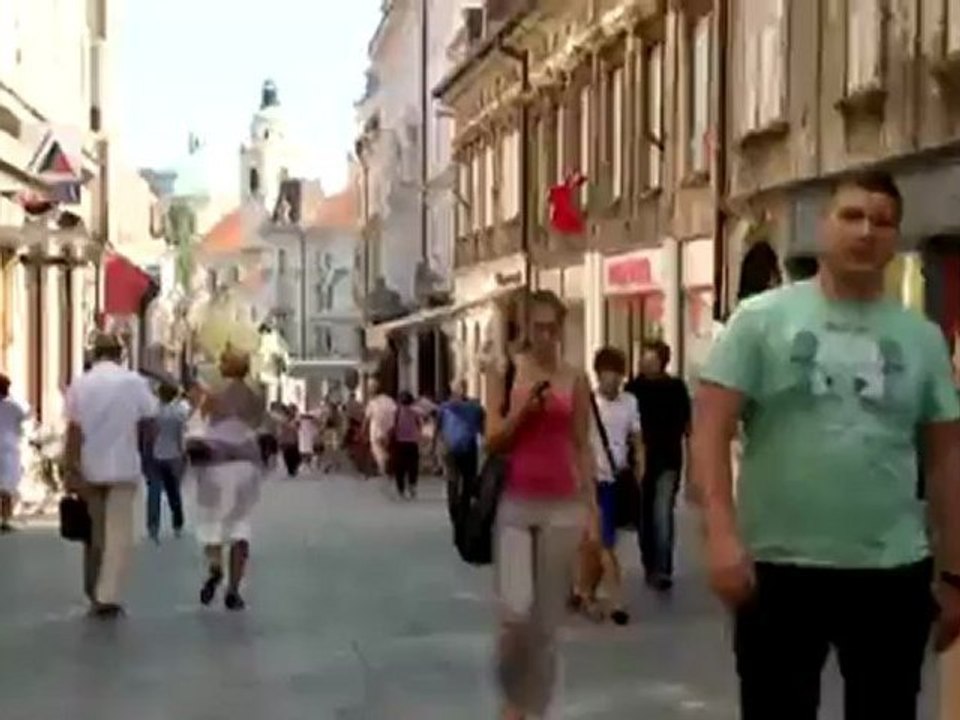 Slovenia: The Fall of an Economic Paragon | European Journal