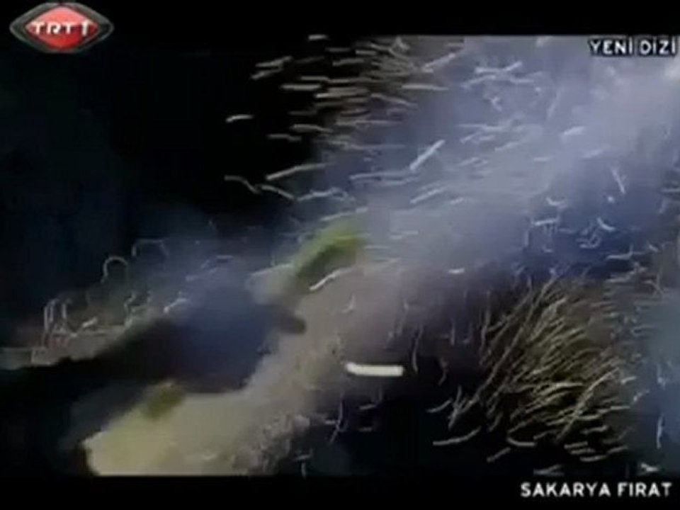 Master Sezer -  Sana Canim Feda [ Şehitlerimiz İçin 2011 ]