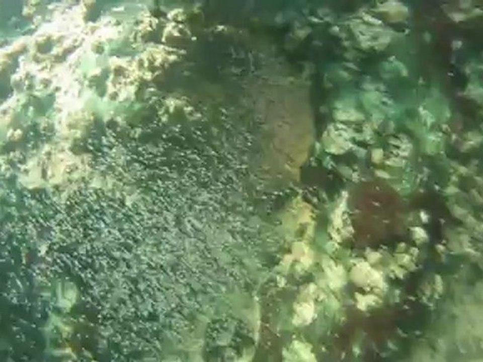 plongee recycleur grande cale lac du bourget deep ccr tartiflette team