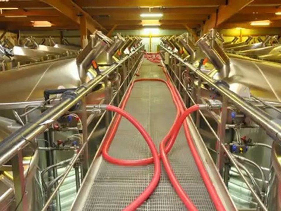 Le temps de la vendange_FR