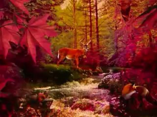 Andy Williams - Autumn Leaves - (Türkçe altyazı)