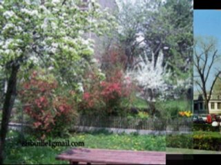 VICTOR  PONTA (n 20 09 1972) - La multi ani  !