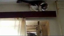 Закрой окно, дует