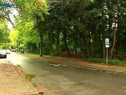 Feestvarken uit Haren is vrijdag zelf niet thuis - RTV Noord