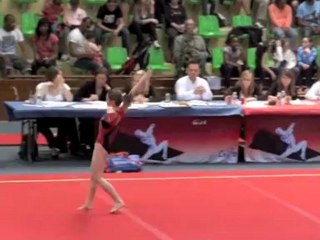 Finale de zone Ile De France GAM GAF 2012.