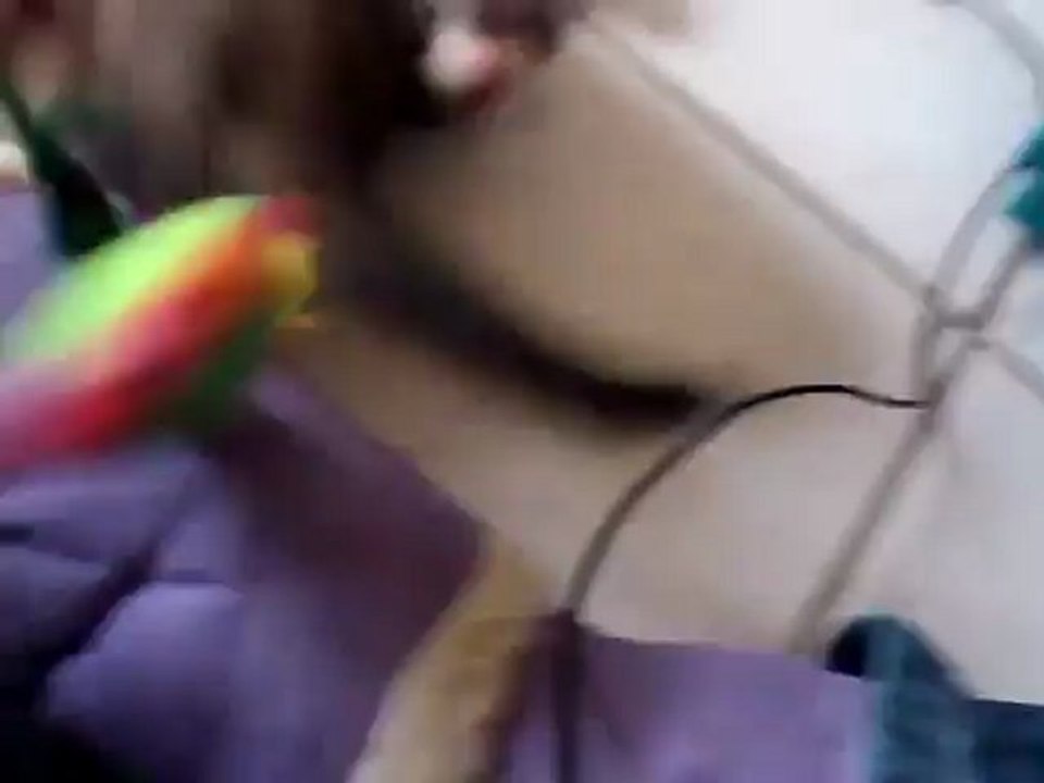 Melle X encore et toujours!!