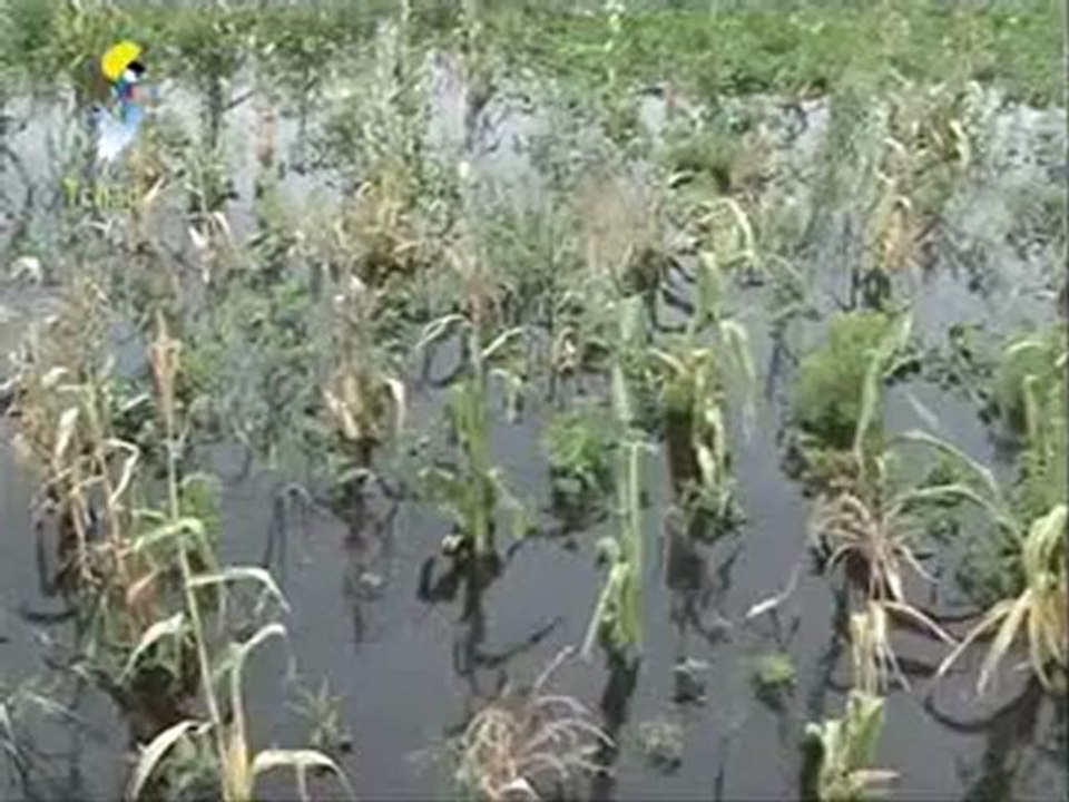 GRAND JT TCHAD ARABE DU 20 SEPT 2012 SUR TOL