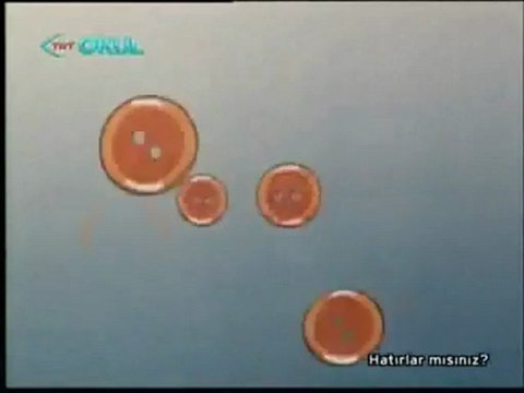 TRT Çocuk Programı - Uykudan Önce (Adile Naşit)