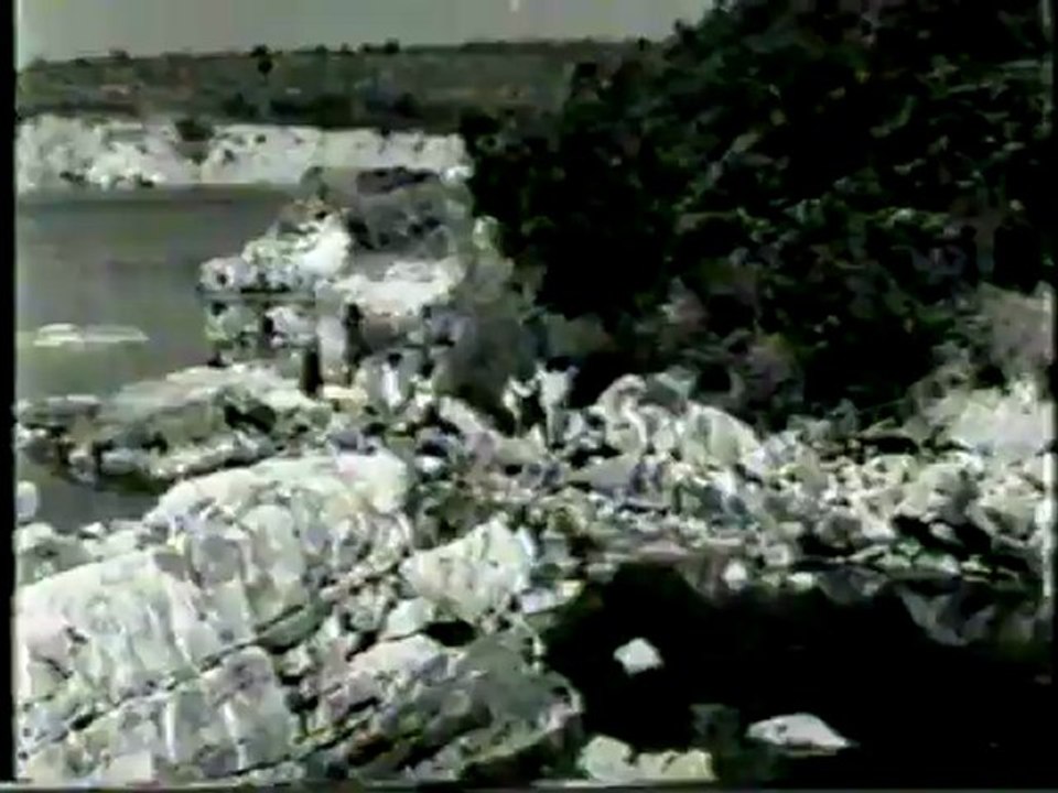 Uygunsuzlar (1974) Fragman