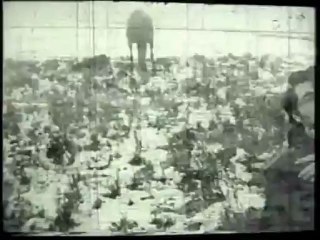 Cem Karaca - Kralların Öfkesi (Bir Anadolu Hikayesi)