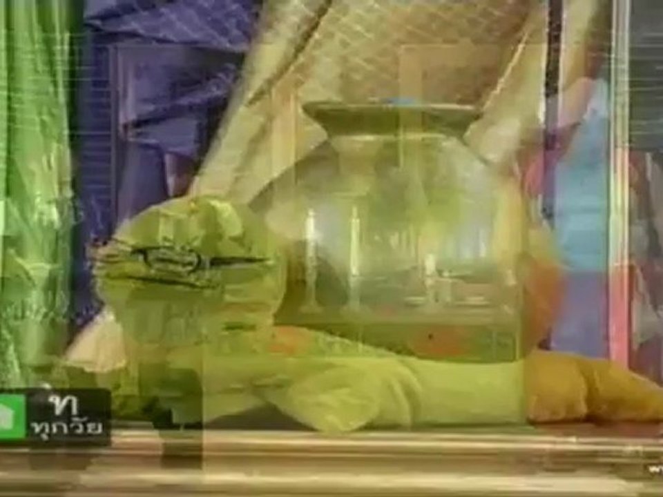 Sponge-20-Sep-2012