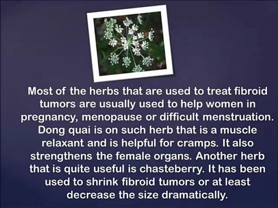 Uterine Fibroids Natural Therapy - treatment to eliminate uterine fibroids
